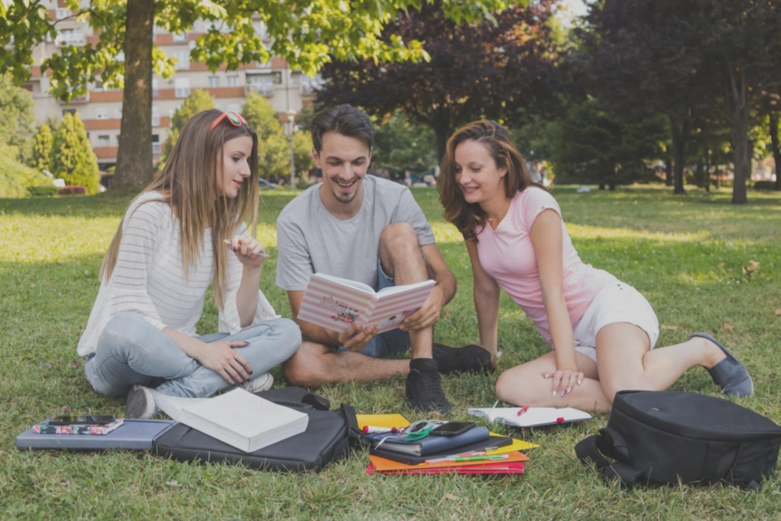 Professionelle Budgetanalyse und Finanzplanung